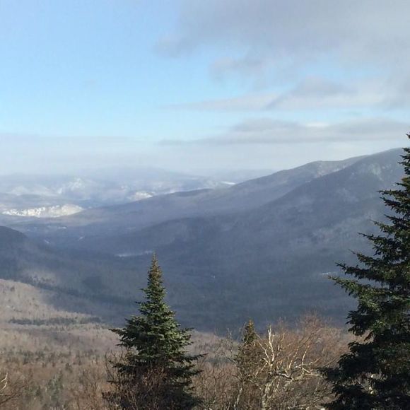 Meet your Posher, Heidi - Picture 1 of 1